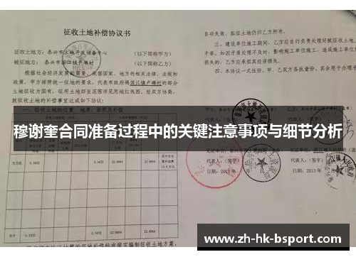 穆谢奎合同准备过程中的关键注意事项与细节分析