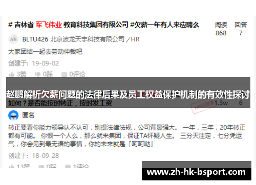 赵鹏解析欠薪问题的法律后果及员工权益保护机制的有效性探讨