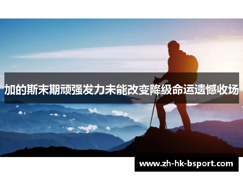 加的斯末期顽强发力未能改变降级命运遗憾收场